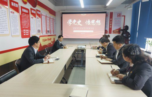 市国资公司机关(第一)支部开展“学党史，悟思想”建党百年党史学习党课