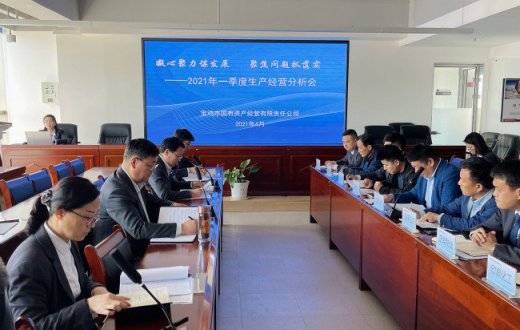 市国资公司召开2021年一季度生产经营分析会