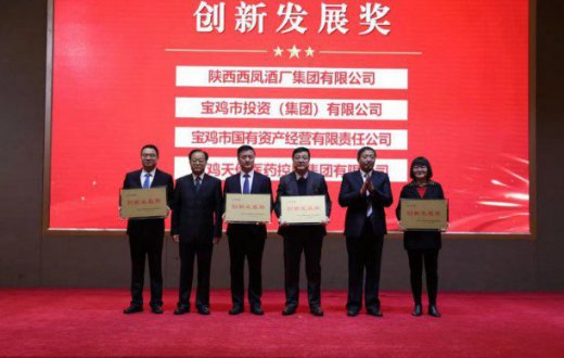 喜报！市国资公司荣获 全市国资系统“创新发展奖”