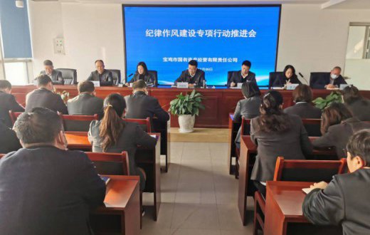 市国资公司召开纪律作风建设专项行动推进会