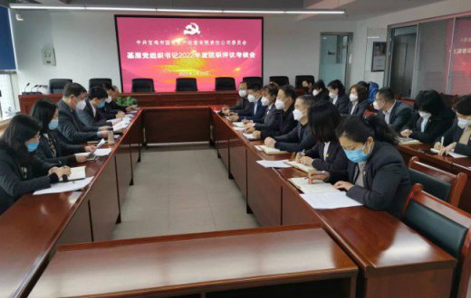 市国资公司召开2022年度基层党组织书记抓基层党建述职评议考核会议