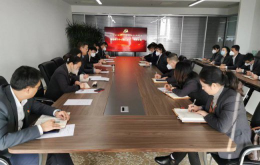 市国资公司召开2023年第一次党委理论学习中心组学习会议