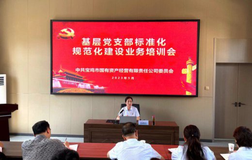 夯实基层党建基础  打造坚强战斗堡垒 —— ——宝鸡市国有资产经营有限责任公司 召开基层党支部标准化规范化建设业务培训会