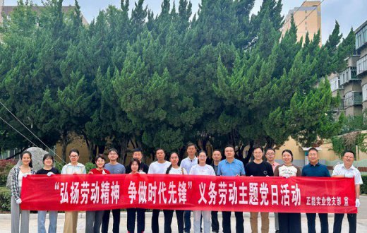 弘扬劳动精神  争做时代先锋 —— ——宝鸡国资正能实业发展有限公司党支部 开展义务劳动主题党日活动